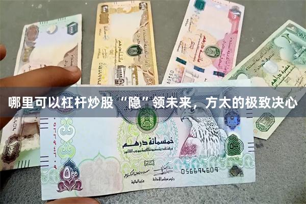 哪里可以杠杆炒股 “隐”领未来，方太的极致决心