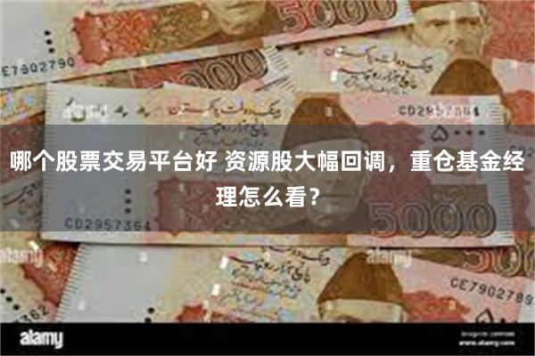 哪个股票交易平台好 资源股大幅回调，重仓基金经理怎么看？