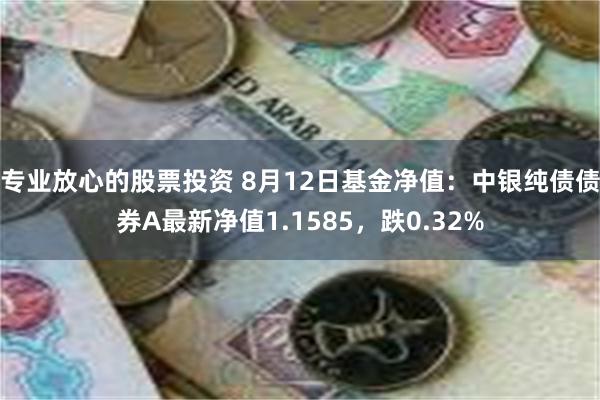 专业放心的股票投资 8月12日基金净值：中银纯债债券A最新净值1.1585，跌0.32%