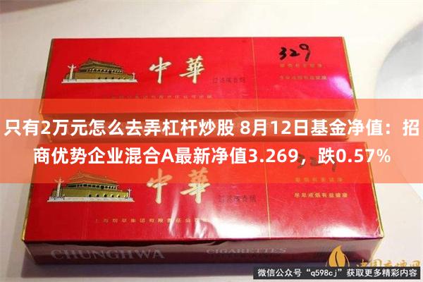 只有2万元怎么去弄杠杆炒股 8月12日基金净值：招商优势企业混合A最新净值3.269，跌0.57%