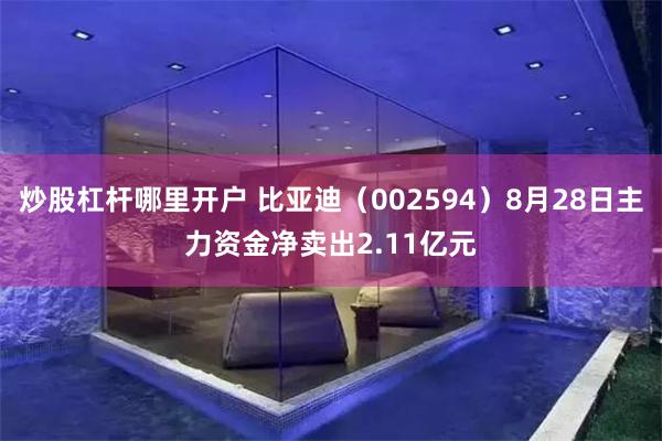 炒股杠杆哪里开户 比亚迪（002594）8月28日主力资金净卖出2.11亿元