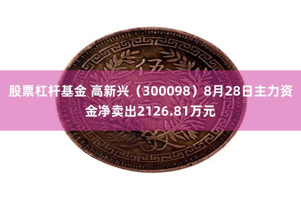 股票杠杆基金 高新兴（300098）8月28日主力资金净卖出2126.81万元