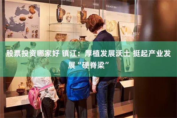 股票投资哪家好 镇江：厚植发展沃土 挺起产业发展“硬脊梁”