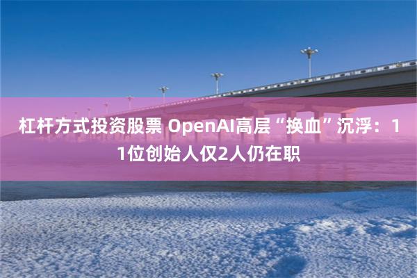 杠杆方式投资股票 OpenAI高层“换血”沉浮：11位创始人仅2人仍在职