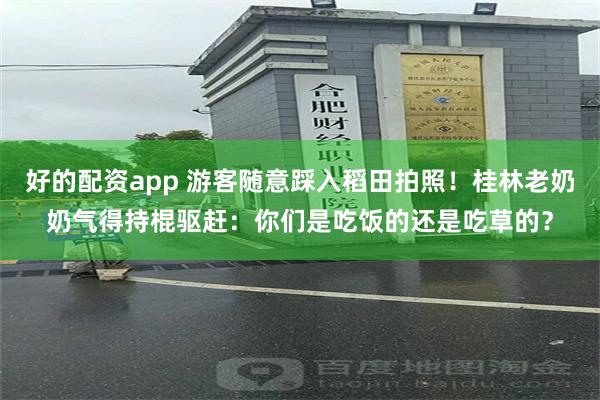 好的配资app 游客随意踩入稻田拍照！桂林老奶奶气得持棍驱赶：你们是吃饭的还是吃草的？