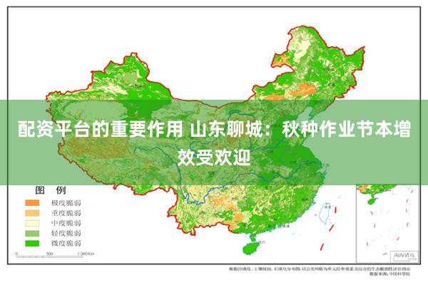 配资平台的重要作用 山东聊城：秋种作业节本增效受欢迎