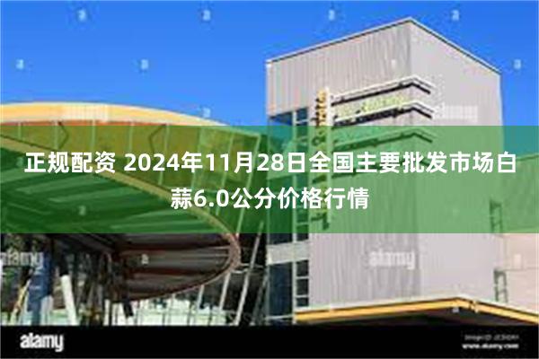 正规配资 2024年11月28日全国主要批发市场白蒜6.0公分价格行情