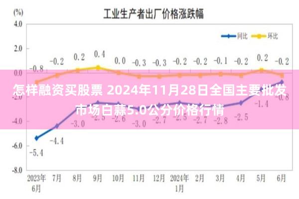 怎样融资买股票 2024年11月28日全国主要批发市场白蒜5.0公分价格行情