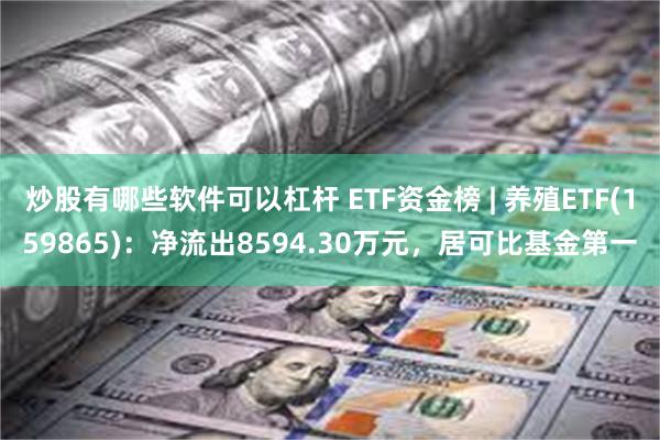 炒股有哪些软件可以杠杆 ETF资金榜 | 养殖ETF(159865)：净流出8594.30万元，居可比基金第一