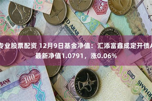 专业股票配资 12月9日基金净值：汇添富鑫成定开债A最新净值1.0791，涨0.06%