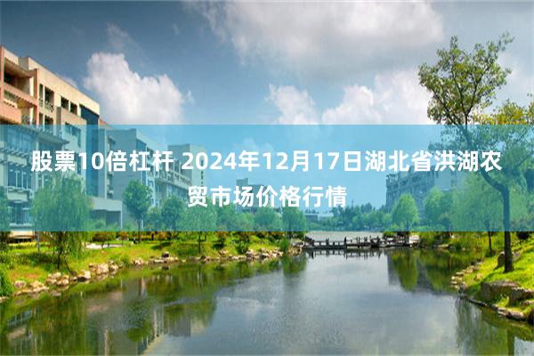 股票10倍杠杆 2024年12月17日湖北省洪湖农贸市场价格行情