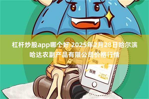 杠杆炒股app哪个好 2025年2月28日哈尔滨哈达农副产品有限公司价格行情