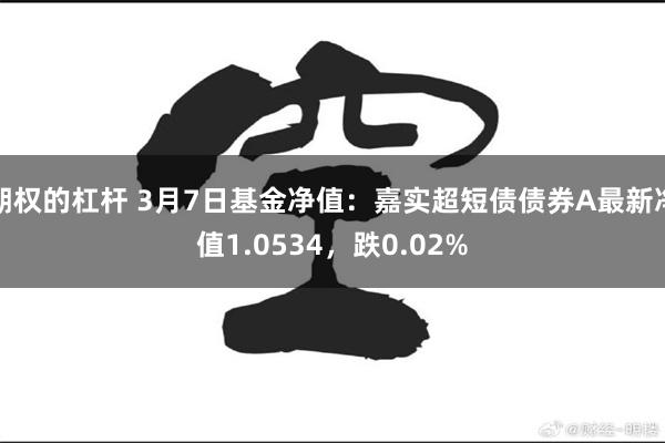 期权的杠杆 3月7日基金净值：嘉实超短债债券A最新净值1.0534，跌0.02%